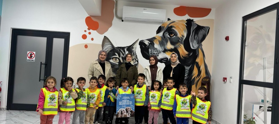 Çayırova'da 2025’te 328 can dostumuza yuva bulundu