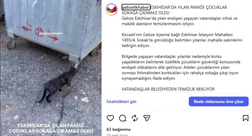 ESKİHİSAR’DA YILAN PANİĞİ! ÇOCUKLAR SOKAĞA ÇIKAMAZ OLDU