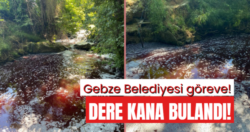 Gebze’nin Derelerinden oluk oluk kan akıyor