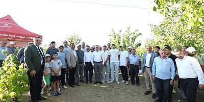 Başkan Büyükakın, İzmit’te  üzüm hasadına katıldı
