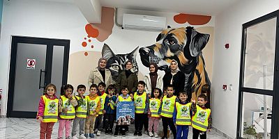 Çayırova'da 2025’te 328 can dostumuza yuva bulundu