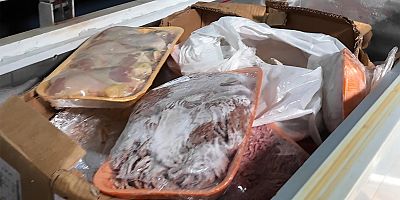 Çayırova'da Küflü ve son kullanma tarihi 6 yıl önce geçmiş et satan kasap mühürlendi