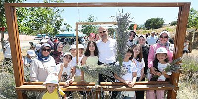 Çayırova’da lavanta hasadı zamanı