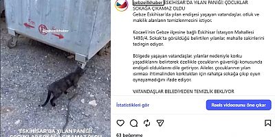 ESKİHİSAR’DA YILAN PANİĞİ! ÇOCUKLAR SOKAĞA ÇIKAMAZ OLDU