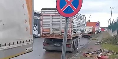 Gebze Oto Sanayi çöpten geçilmiyor!