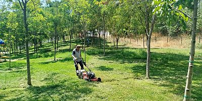 Gebze Tatlıkuyu Vadisi Kent Parkı’na düzenli bakım