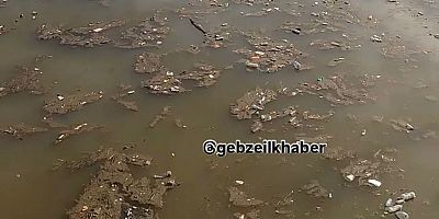 Gebze’ye içme suyu verilen Denizli göleti pislik içinde