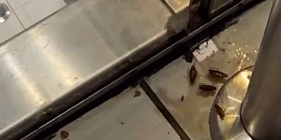 Gebzecenter yemek katında hamamböceği skandalı