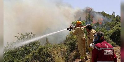 Karamürsel Belediyesi: Yangına zamanında ve etkili müdahale yapıldı