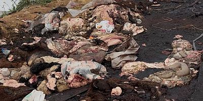 Kurban satış alanı ivedi temizlenmeli