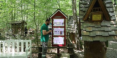 Ormanya’da yaz hazırlıkları tamam