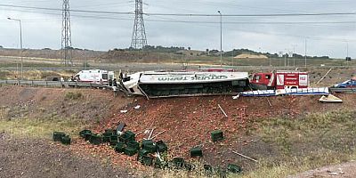 Virajı alamayan TIR devrildi